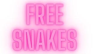 Is the Ball Python Market DEAD?!?!?