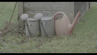 G9Ii In V Log Und Korrigiert