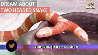 Dream About TWO HEADED SNAKE - Biblical Meaning and Interpretation