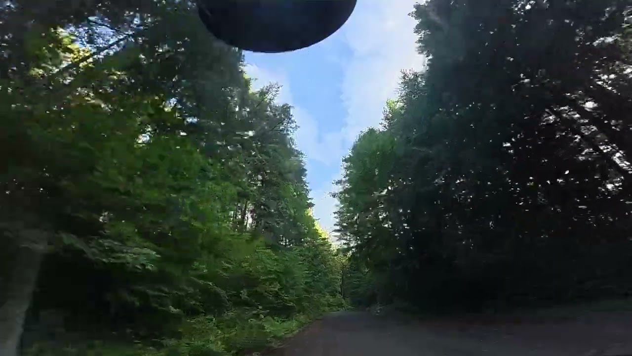 朝倉未来がボコボコにされてる試合を見て、中学の時に僕をボコボコにした留学生を思い出して身震いした