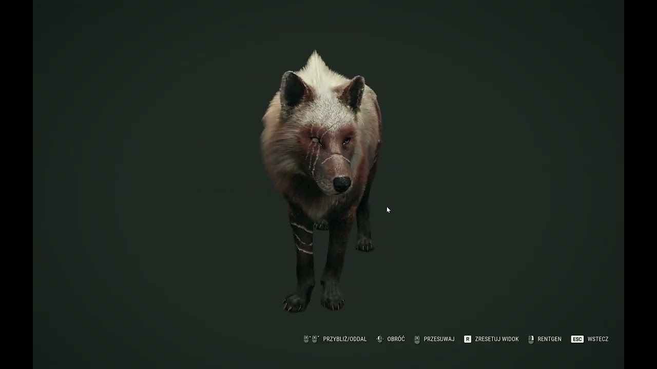 Call of the Wild  Basior  wilk   Great One Wolf