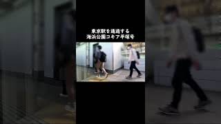 【JR東日本】東京駅を通過する臨時特急海浜公園コキア平塚号