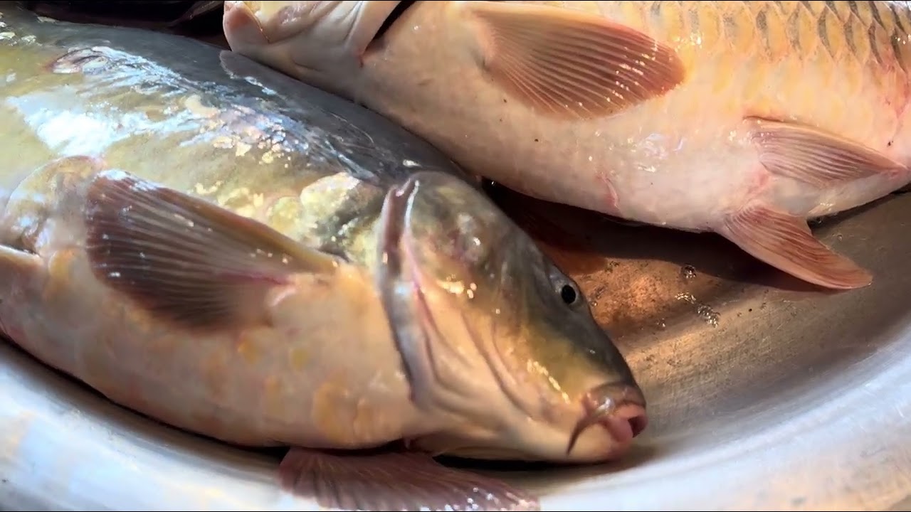 Helly’s Special Ghuraghuri “D Block” Mach Bazar In Uposhohor, Sylhet, Bangladesh 🇧🇩❤️