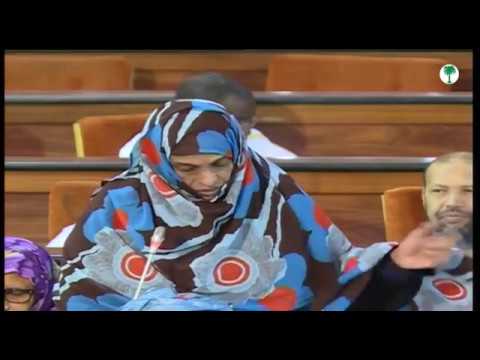 مداخلة النائب فاطمة بنت الميداح في الجلسة العلنية المخصصة لنقاش تقرير الوزير الأول 2017