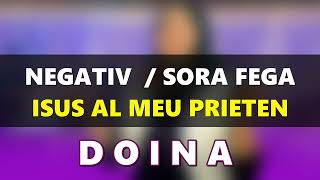 NEGATIV DOINA  // ISUS AL MEU PRIETEN  //  SORA FEGA