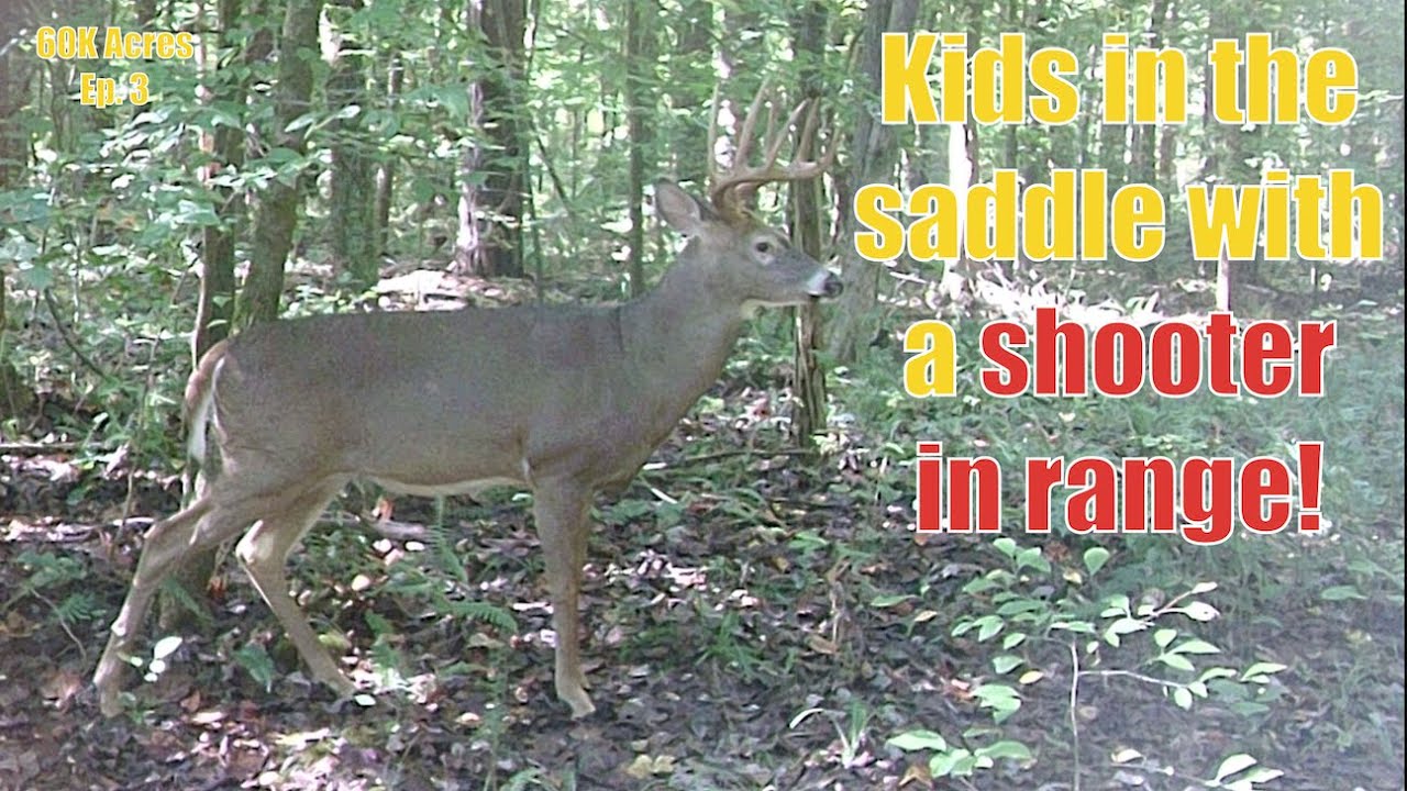 Kids Saddle Hunting a Successful Hunt at Deer Camp (Indiana Public Land)
