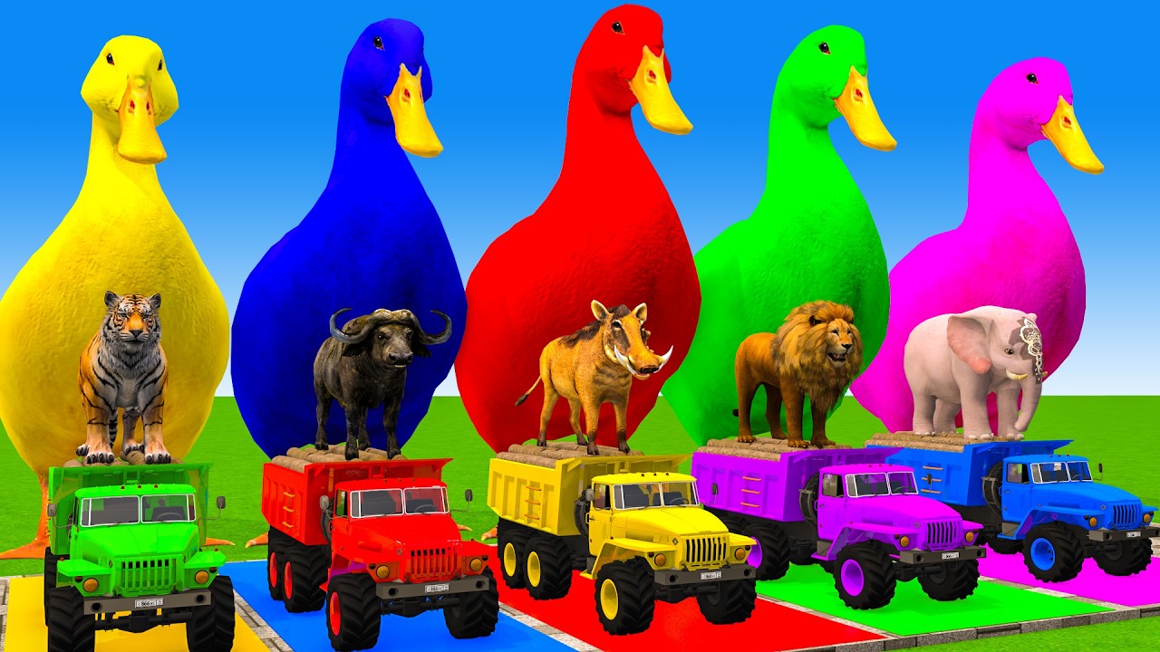 5 Giant Duck Cartoon,Cow,Elephant,Tiger,Lion,Dinosaur,Paint Wild Animals Crossing Fountain Animation