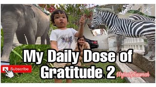Gratitude Journal part 2 | Taman Safari Prigen Covid 19 screenshot 4