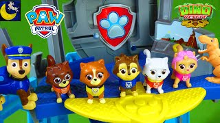 LOTS of Paw Patrol Toys! Kittens Dino Rescue Dinosaurs Lookout Tower Patroller Toy Video for Kids!