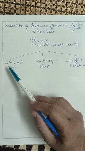 Cyclic Structure Of Glucose Favoures By No Reaction With 2 4 DNP schiff cyclic-structure-of-glucose-favoures-by-no-reaction-with-2-4-dnp-schiff