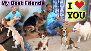 My Dog Collection || Labrador || GSD || German Spitz || Suven Kai Vlog ||