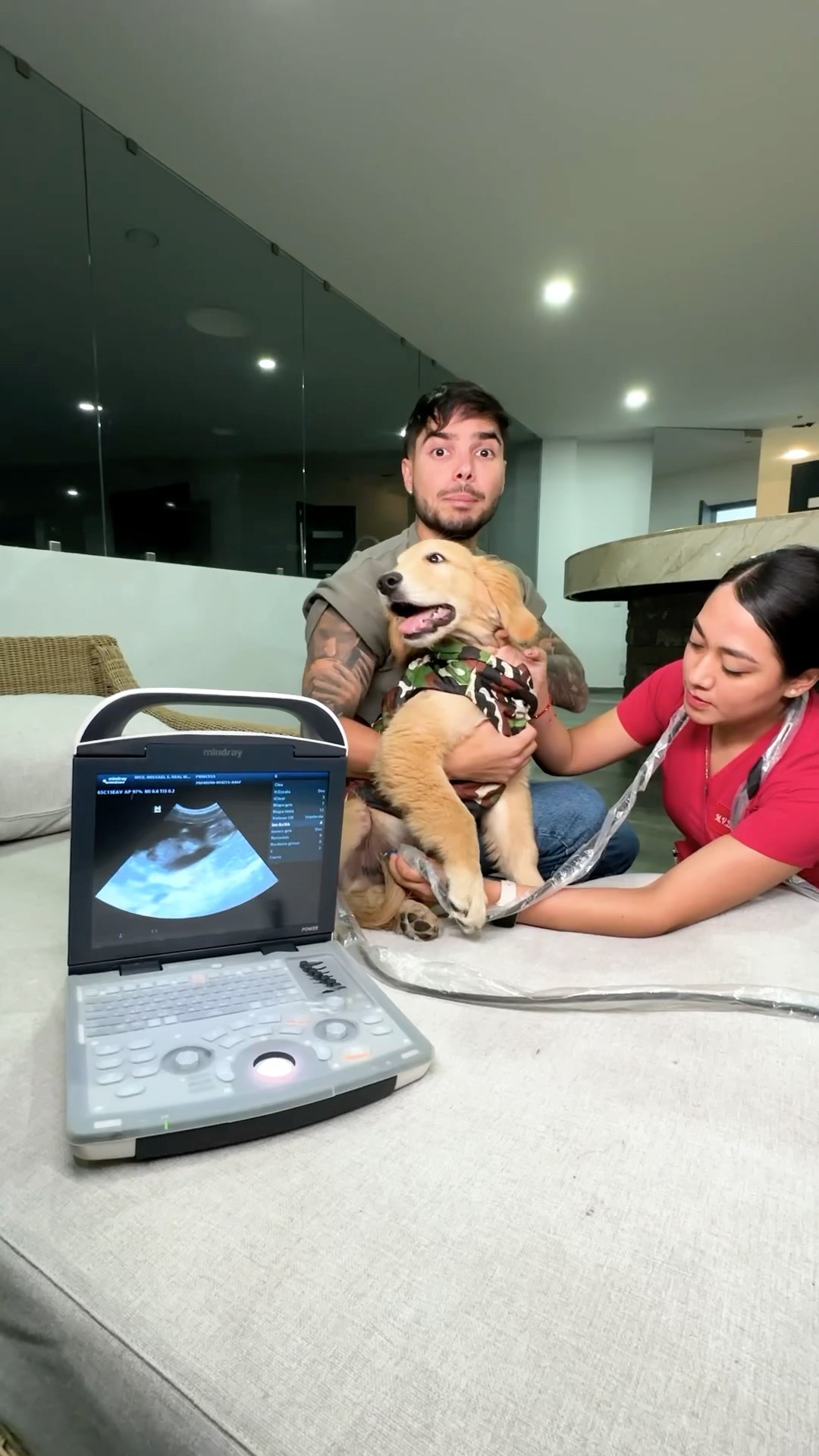 Mi Perrito Está Embarazado