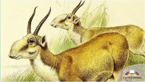 Excel 8 Module 1.The Steppe: A Golden Treasure