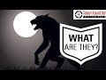 Where Did the Idea of Werewolves Come From?