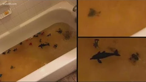 Congress, DoD and the military branches had warnings and proof of problems in base housing