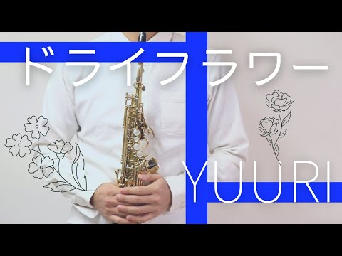 ドライフラワー (Eb) - 優里