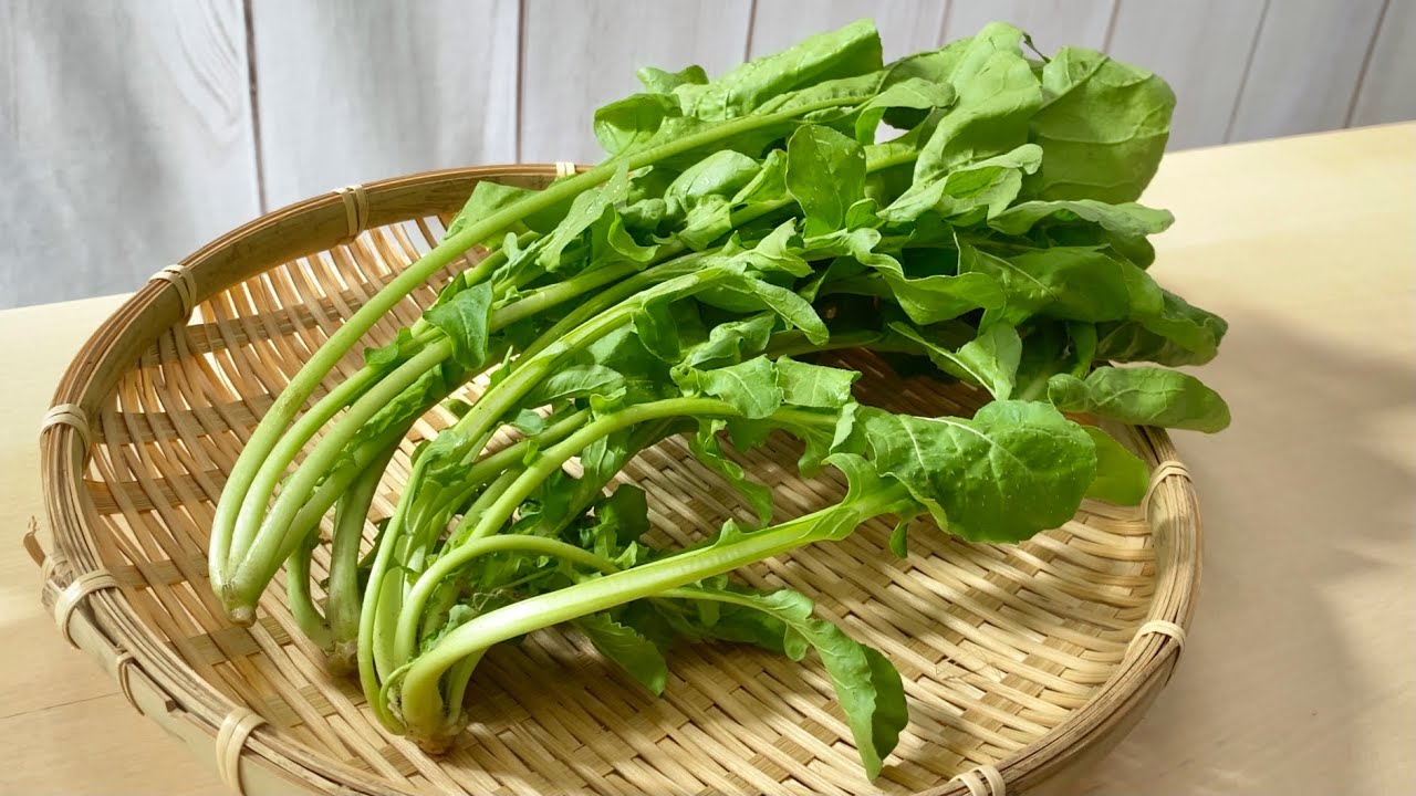 ルッコラ | 食オタ｜食の資格者のためのコミュニティ