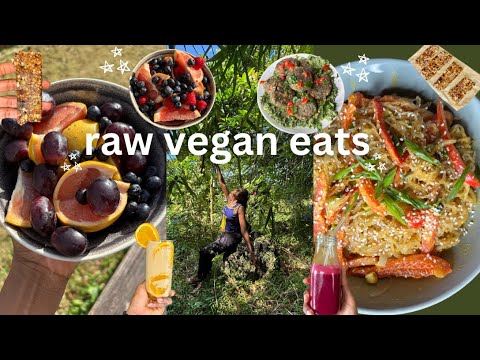 High Protein Raw Vegan🌱 what i eat in a day🧆raw falafel, golden kelp noodles, no-bake granola bars