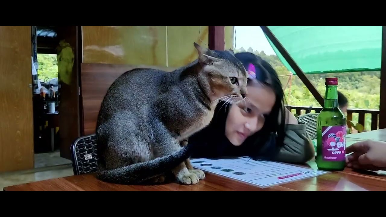 Moreh Menou  & Chonjang kihuilhana