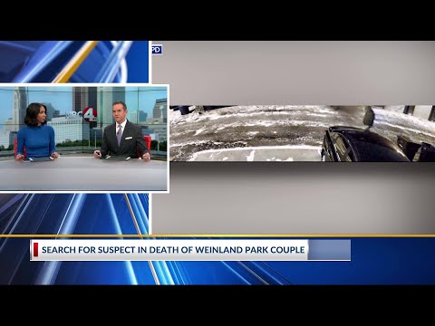 Retired FBI Agent Explains What Investigators Are Looking For In Killing Of Dentist Wife 