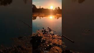 #carpfishing #carp #irl #fishing #wędkarstwo #angler #passion