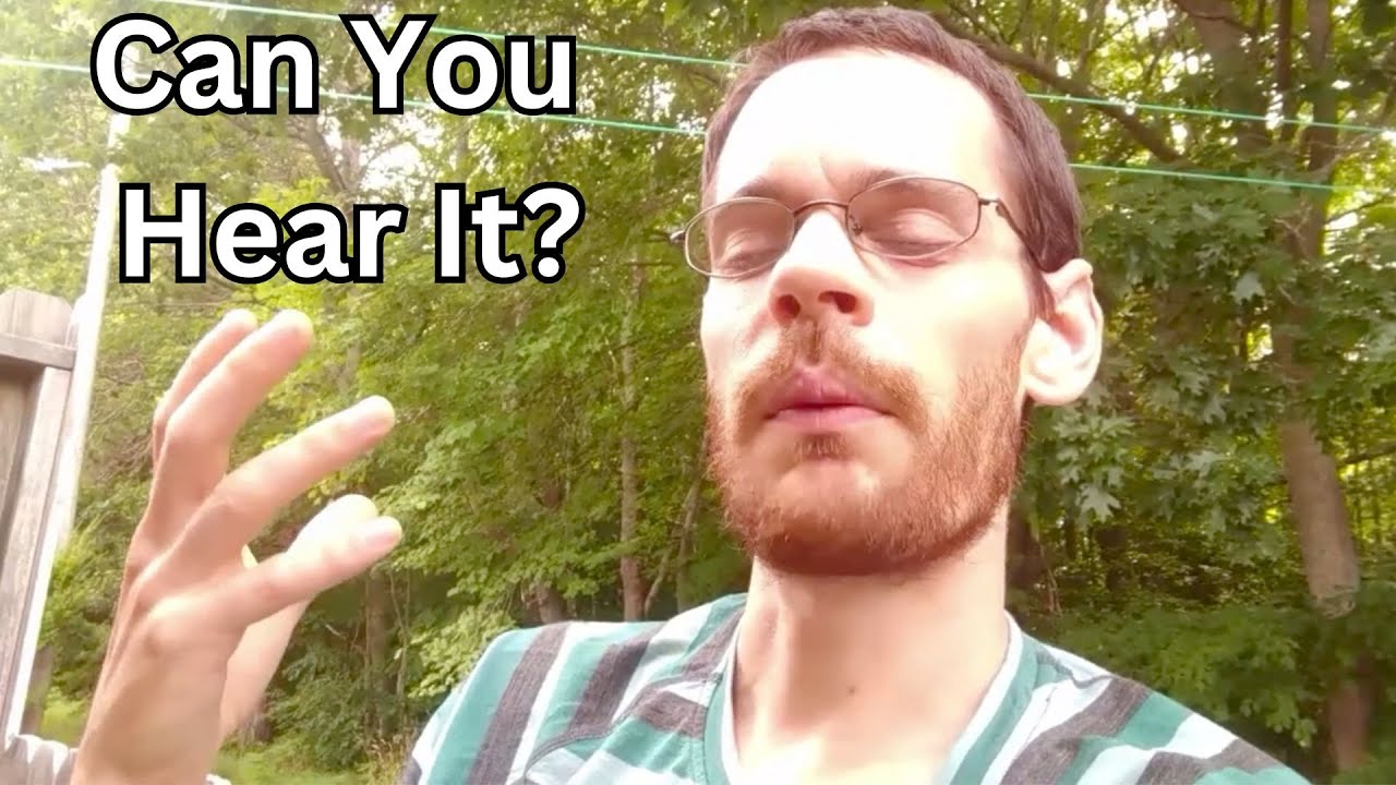 Finding Peace By Listening To Nature (Sense Meditation)