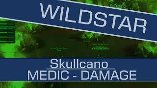 Wildstar BETA - Last boss in Skullcano(lvl 35 dungeon)