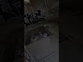 #urbex #edit #urbexedit 🔥 To co part 2?