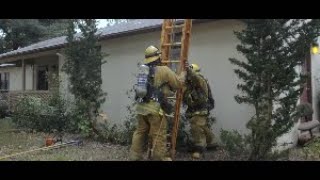 Engine Company - Ladders