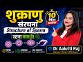 BPSC TRE 4.0 2026 | 10 MIN. SCIENCE ULTIMATE SHOW | STRUCTURE OF SPERM | BIOLOGY | DR. AAKRITI RAJ