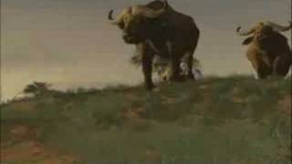 He Lives in You Afrika new game