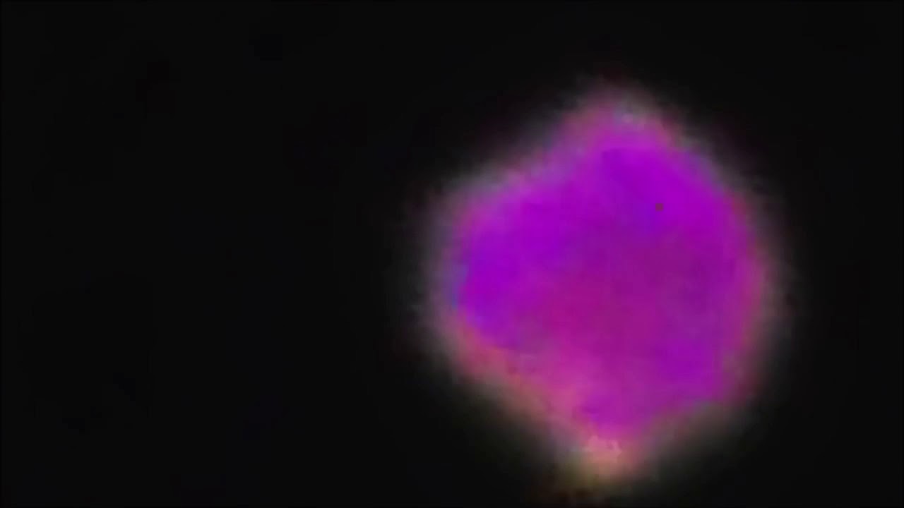 Le Chrome et le Coton / Stars