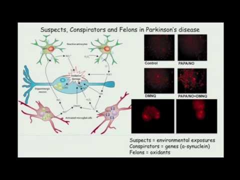 The oxygen paradox: The blurry line between life and neuron death (Dr. Harry Ischiropoulos)