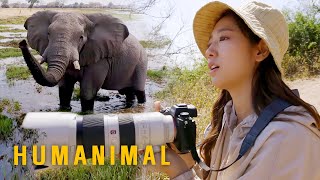 Park Shin Hye Have to Count by Looking at Elephant's Trunks [Humanimal Ep 1] screenshot 1