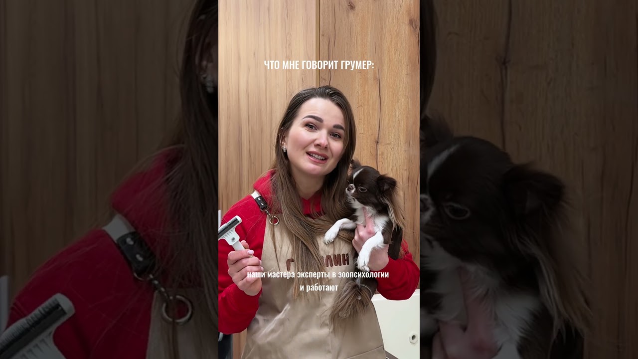 Трюки исполнены профессионалом 🤣🤣🤣