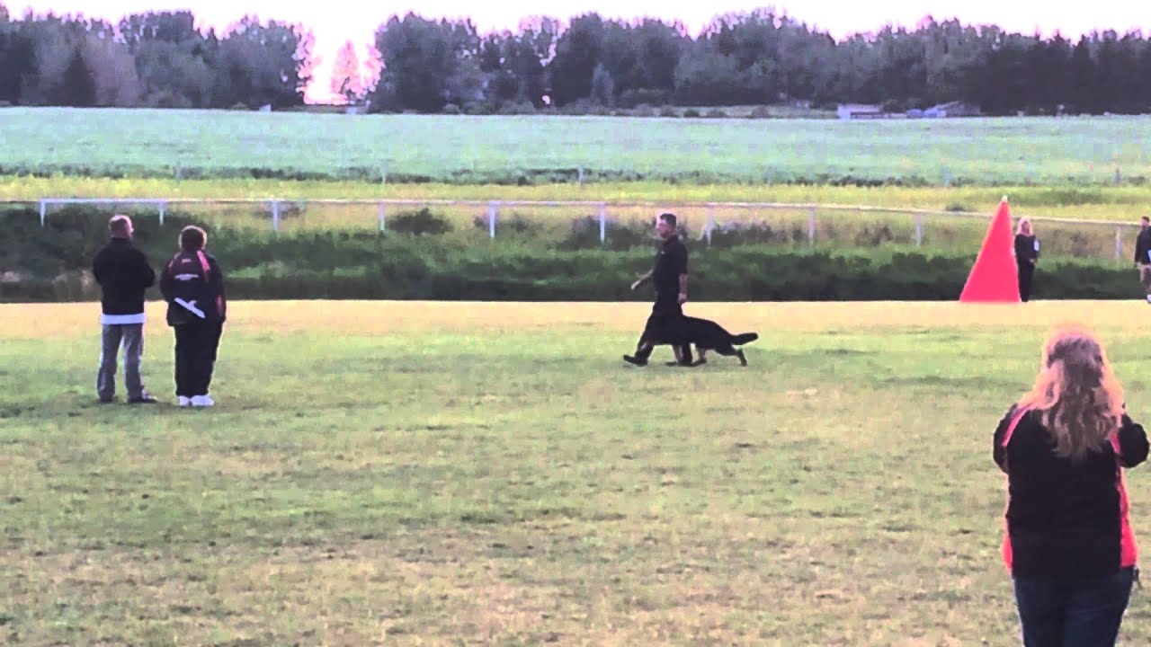 Lance Collins Haakon "B" 2014 Canadian National Championships