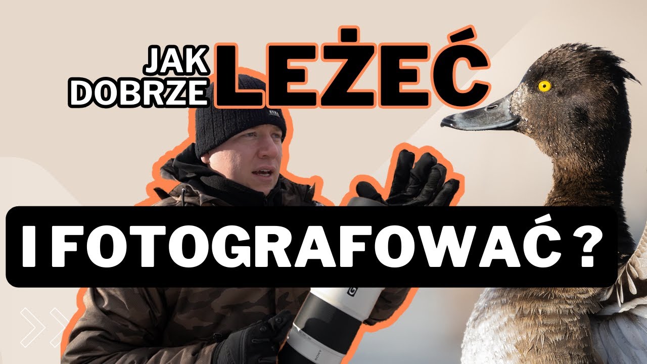 Prosty sposób na ładne zdjęcia ptaków