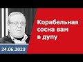 Корабельная сосна вам в дупу