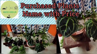 Plant Purchase|Monsoon Plant Haul|Plant Shopping with name and price | Houseplant Shopping