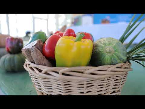 ACTO DE PAGO A PRODUCTORES CHIRICANOS