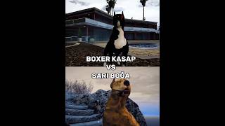 Boxer Kasap Vs Sarı Boğa I