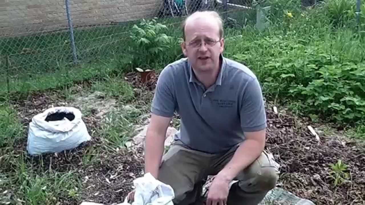 Planting Squash & Melons, Polyculture, & Using Sand to Grow The