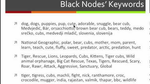 Network Content and Structure