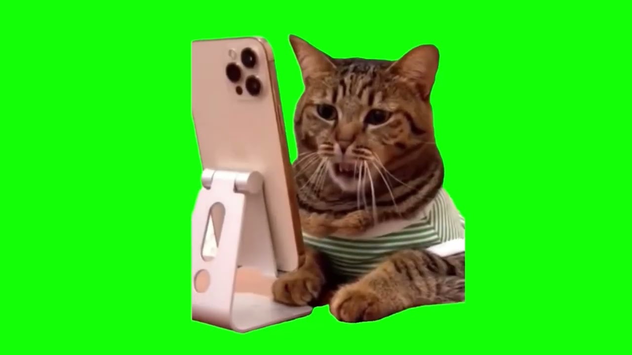 左右反転/猫ミーム素材】iPhone アイフォーン スマホ スマートフォン