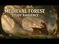 Medieval Woodland Study Music | Ancient Grove Ambience for Focus &amp; Relaxation