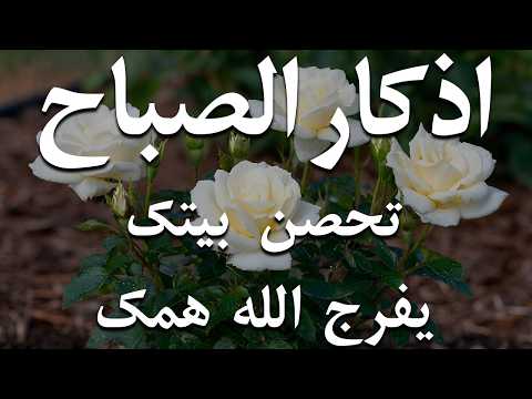 أذكار الصباح - راحة نفسية لا توصف بصوت القارئ علاء عقل | Morning Athkar - Dzkir Pagi by Alaa Aql