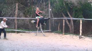 Ostrich Riding Mui Ne, Vietnam