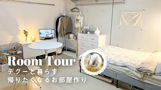 【ルームツアー】収納アイディア◎プチプラでも高見えする正方形のお部屋 | コンクリート壁・テグー・グレージュ| Room tour