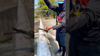 The best hookup of my friend. #fishing #viral #shorts#trending