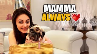 Download Lagu Simba’s Birthday ❤️🐾 | Mamma Hamesha Tumhare Saath Hai MP3